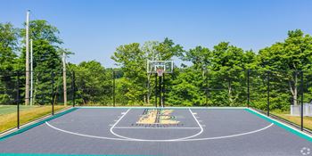 a basketball court with trees in the background and a blue sky